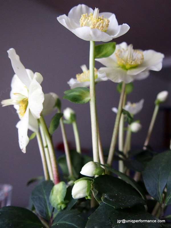 8274519261_228fca018b_b