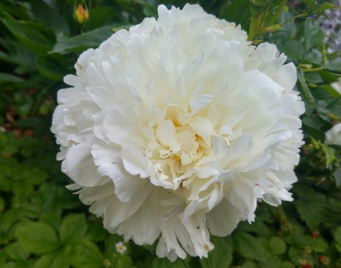 20160622_103139_HDR~2