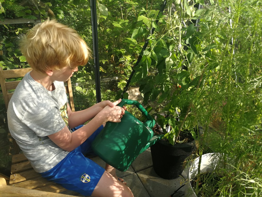 Lillebror er Drivhusassistent