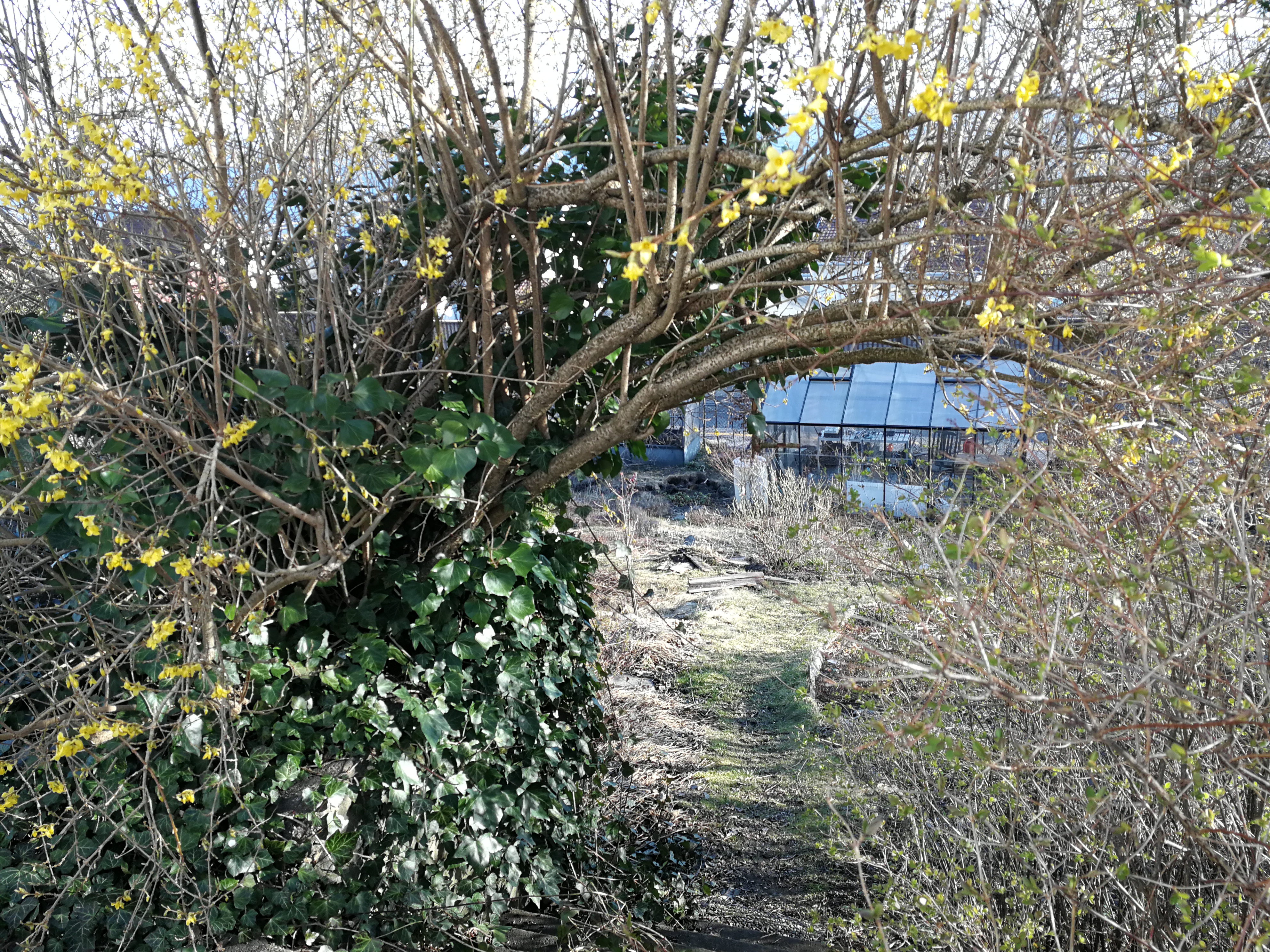 IMG_20200402_084915_1