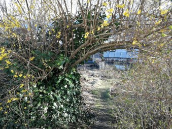 IMG_20200402_084915_1